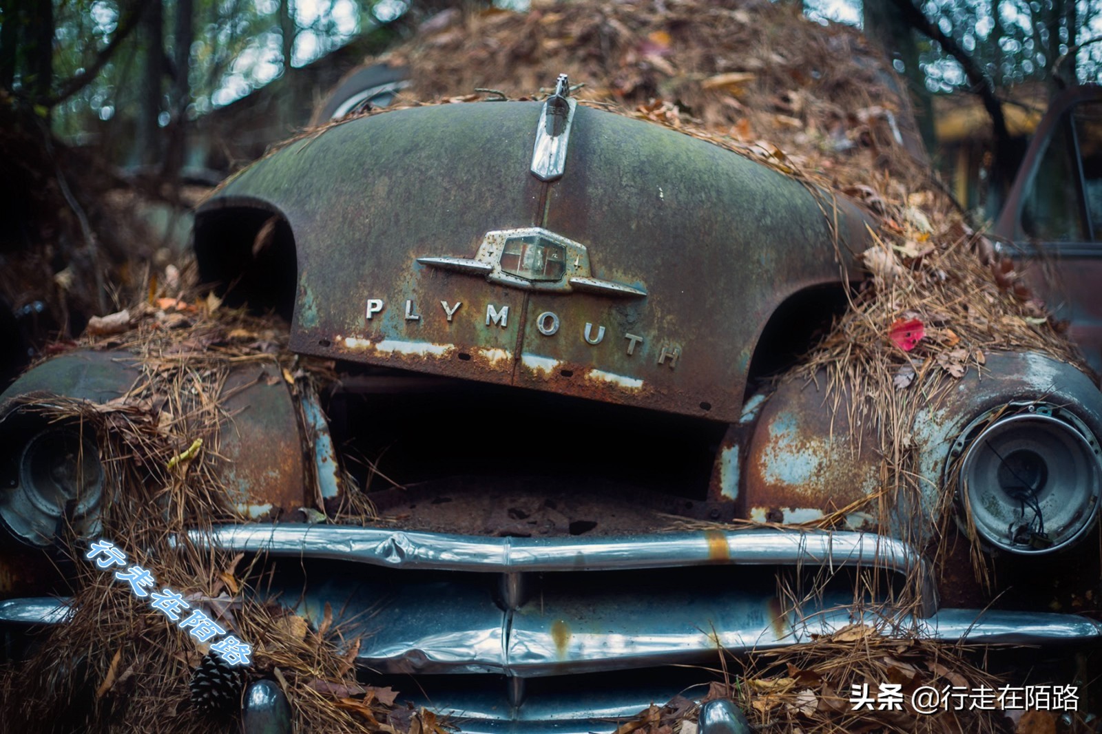 最值钱的废品,最值钱的废品回收