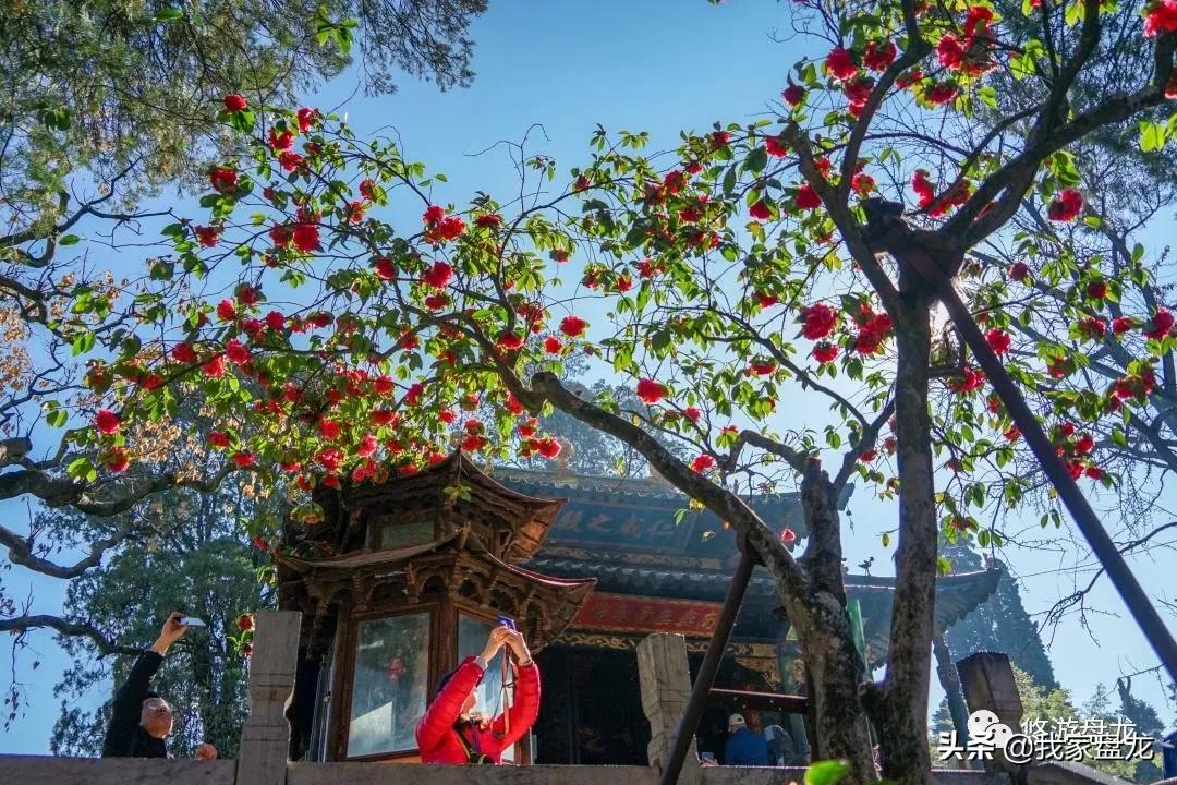 100张照片一百种幸福,100张图片带你去云南