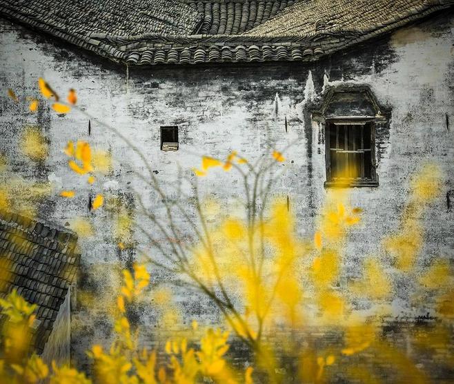 等待一个人来一场说走就走的旅行,等一个人陪我去秋天的腾冲