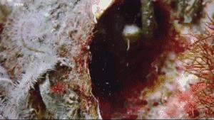 搞笑gif目光全在腿上了,爆笑gif动图我们一起出去霸气一点