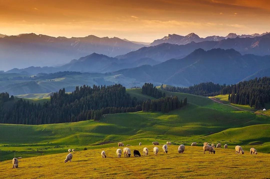 世界十大必去旅游城市,世界十大最值得去的地方