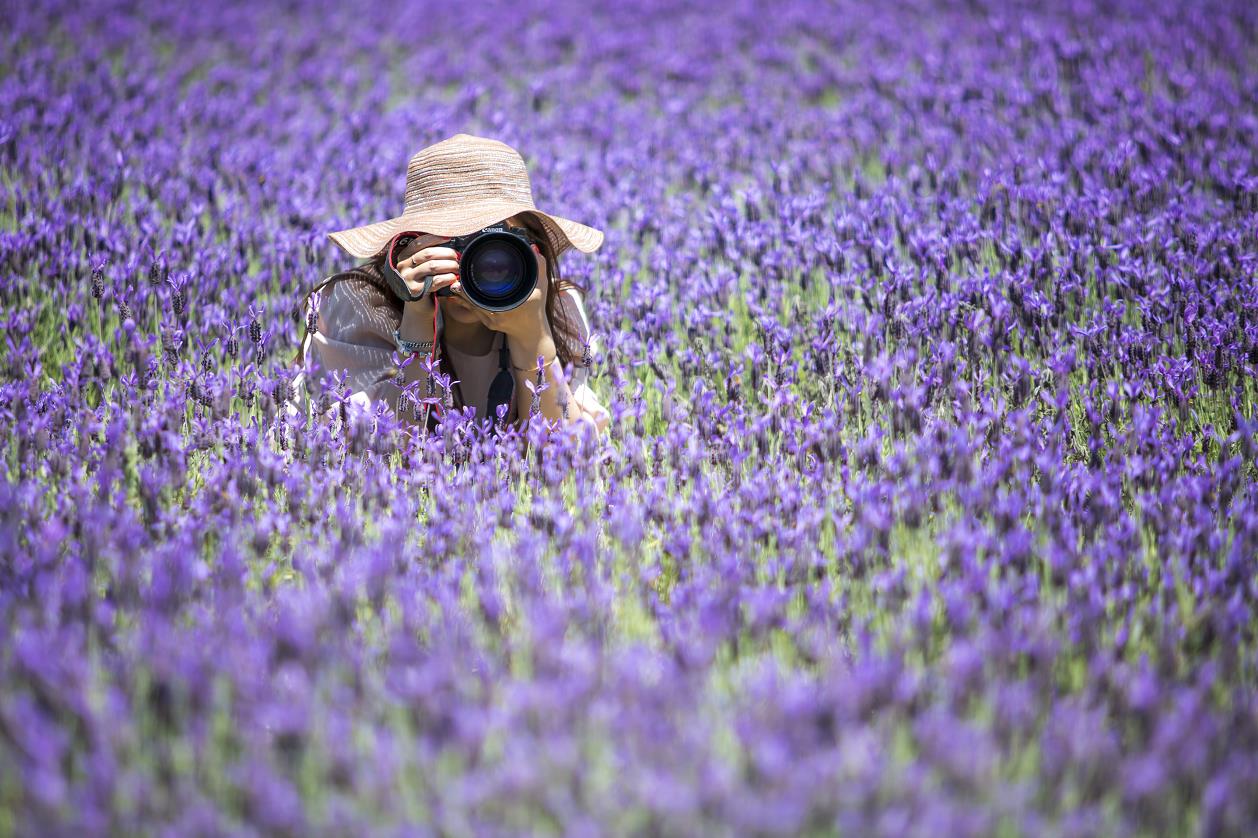 娼嶅潑鐢佃鍙伴煩鏅撶劧,闊╂檽鐒舵綅鍧婁富鎸佷汉
