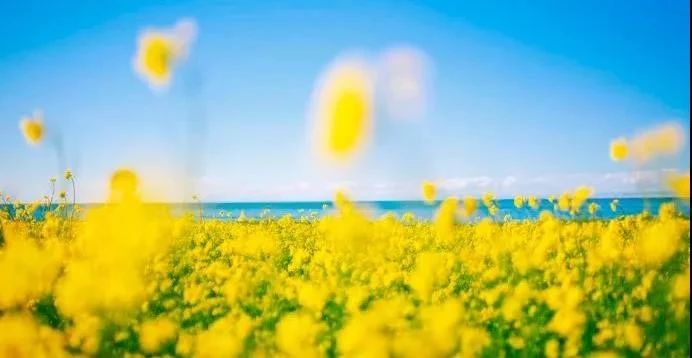 茶卡到大柴旦翡翠湖,茶卡怎么去大柴旦翡翠湖