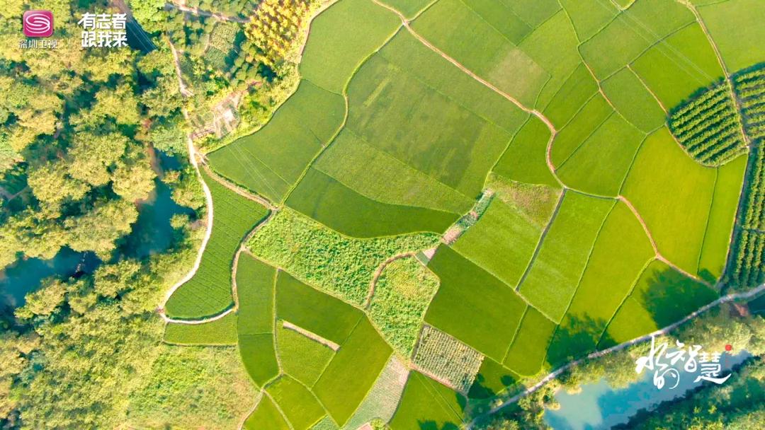 古人超前的设计,古人的思想还真是超前