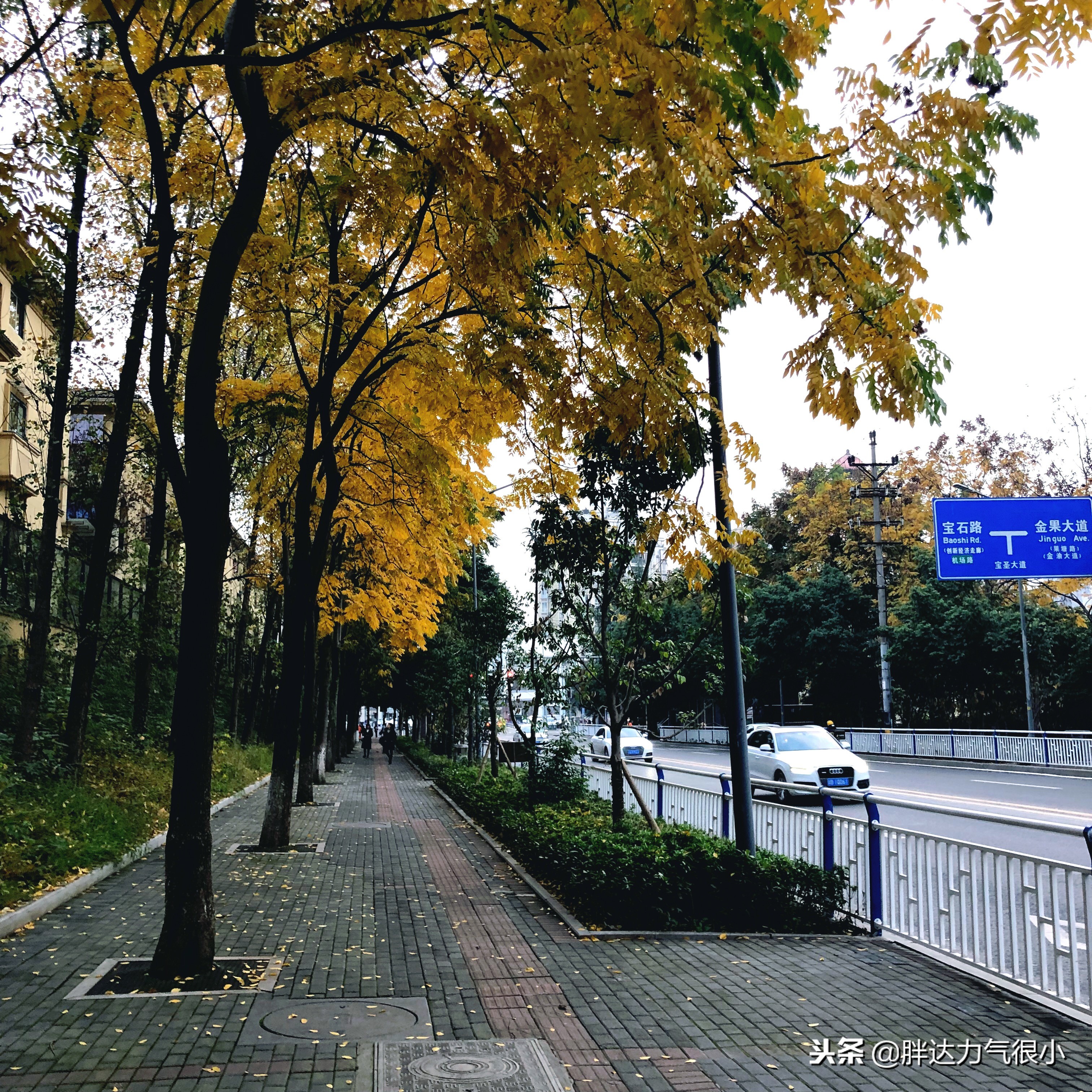 成都失恋之旅,失恋了去成都哪里旅游好