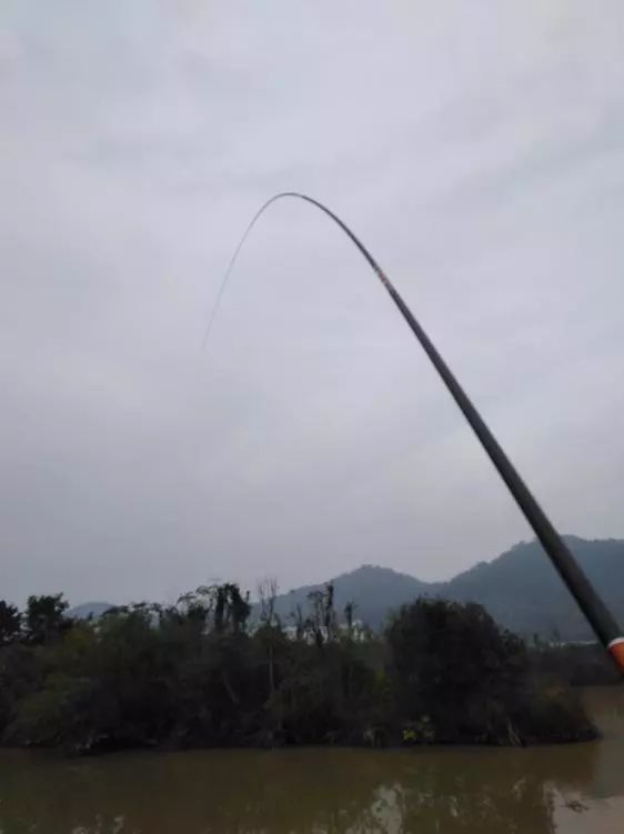 本汀神鹤和太极宗师,本汀神鹤鲫鱼竿