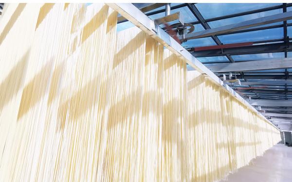 白象的什么面更好吃,白象新经典中国面