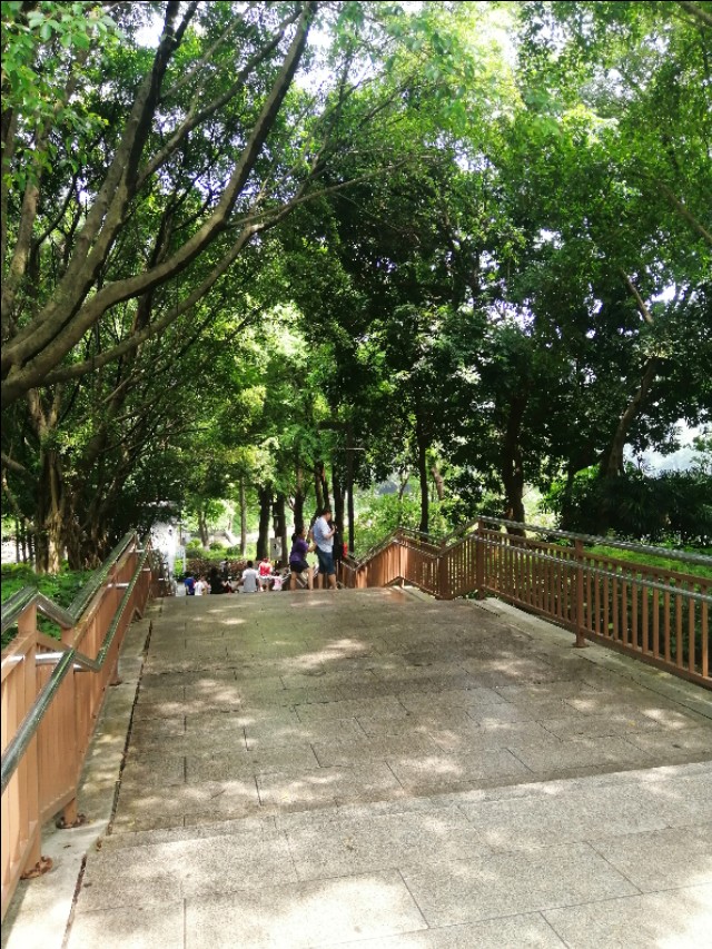 东莞旗峰公园掠影,东莞旗峰公园大体俯视图片