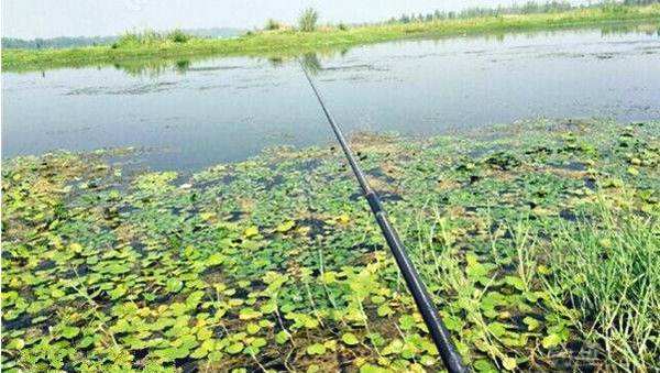 悬坠钓线组图解,悬坠钓法钩子都是斜着触底的