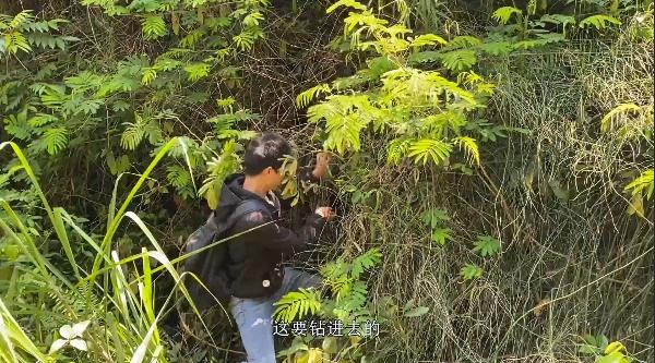 怎么样放诱蜂箱不被寻蜂人找到,秋季诱蜂箱放在哪些地方容易来蜂