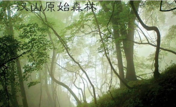 To全世界:灵宝向您发来一封邀请函,请亲启