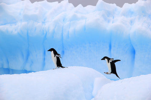 品牌历史冷知识burberry,burberry冷知识