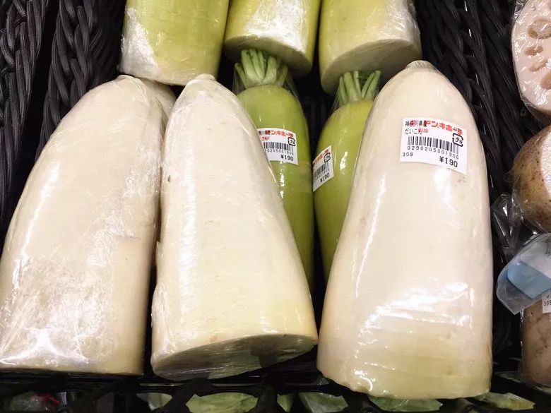 一封来自日本的信--日本社会和生活水平现状