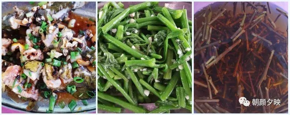 新会石板沙最好的地方,江门石板沙村旅游介绍