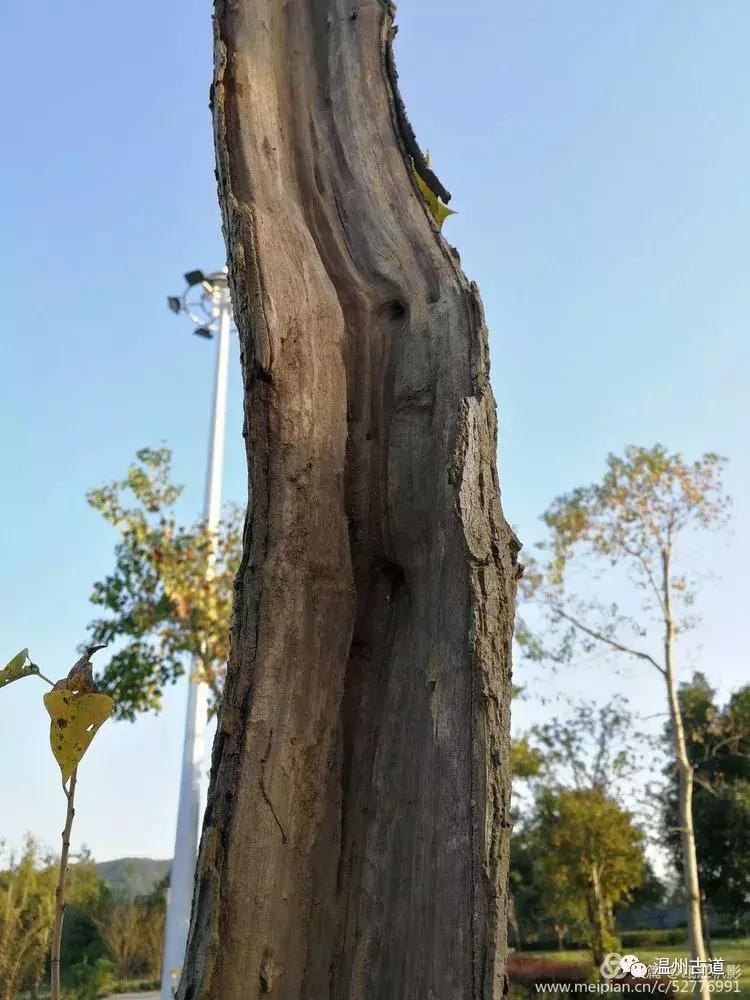 瓯江山水美如画,浙江瓯江旅游景点大全