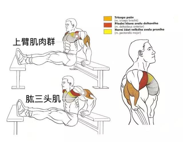 麒麟臂松松垮垮怎么练紧致,人到中年状态更松弛