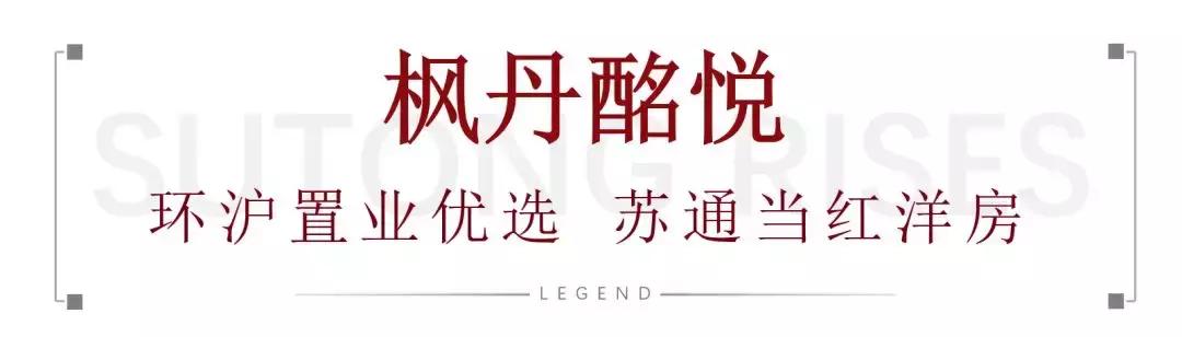 大赞！大型国际组织到访苏通！园区跃升跨国合作“新地标”...