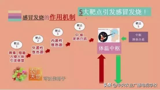 农广天地的使用与保养,农广天地愈康