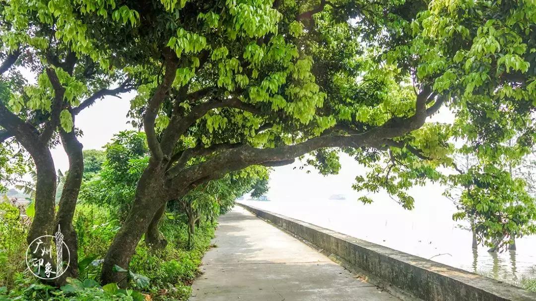 广州隐世峡谷游玩攻略,广州要坐船才能登的小岛