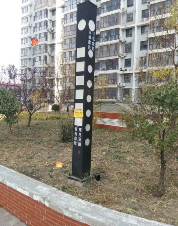 老景说事儿「小区投了老鼠药？家家户户要知道！」