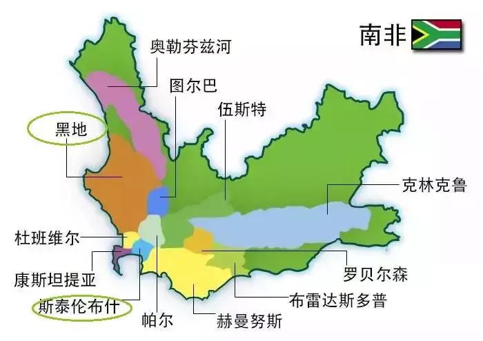 盲品葡萄酒是每种酒都喝过吗,盲品干红葡萄酒