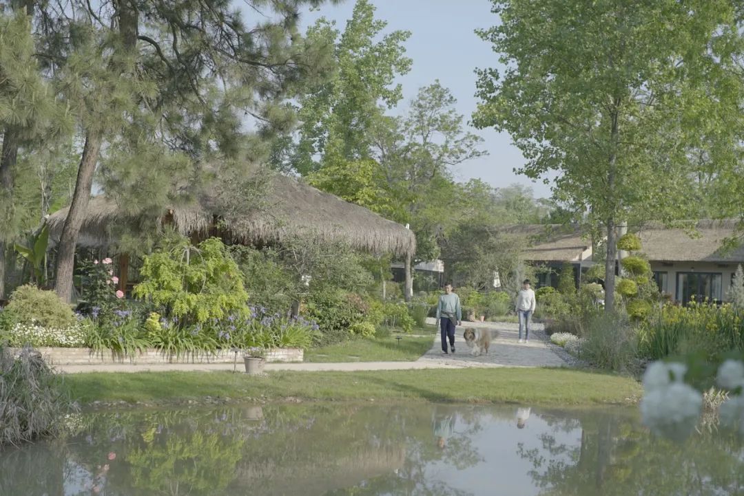 腾讯高管辞职隐居,腾讯元老隐居合肥