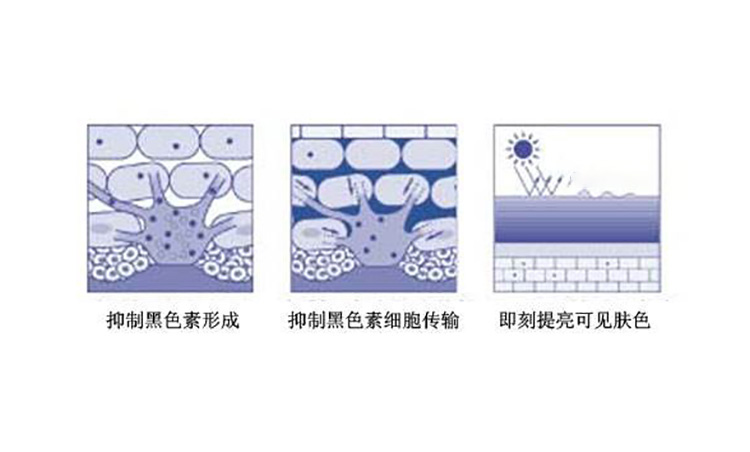 干皮想要美白有妙招，做好以下几点就够了，助你恢复白嫩肌肤