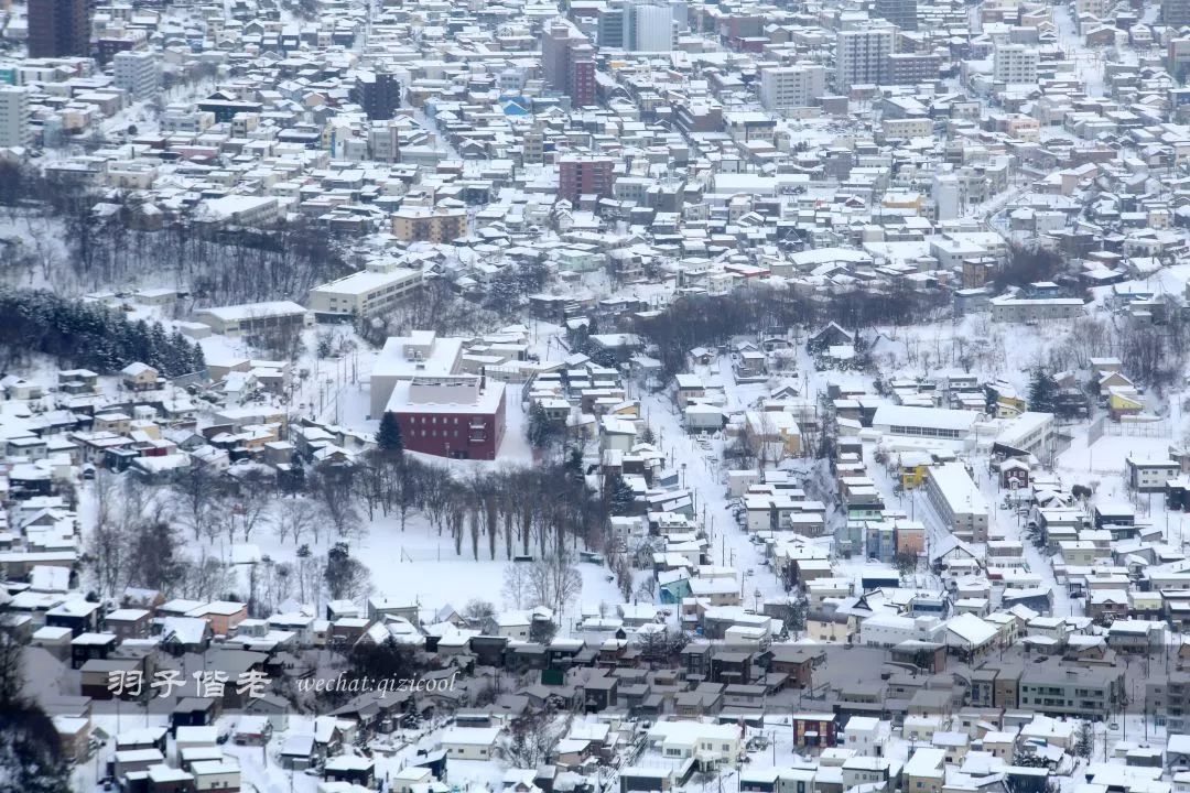 日本10天自由行费用北海道,东京北海道5日自由行攻略