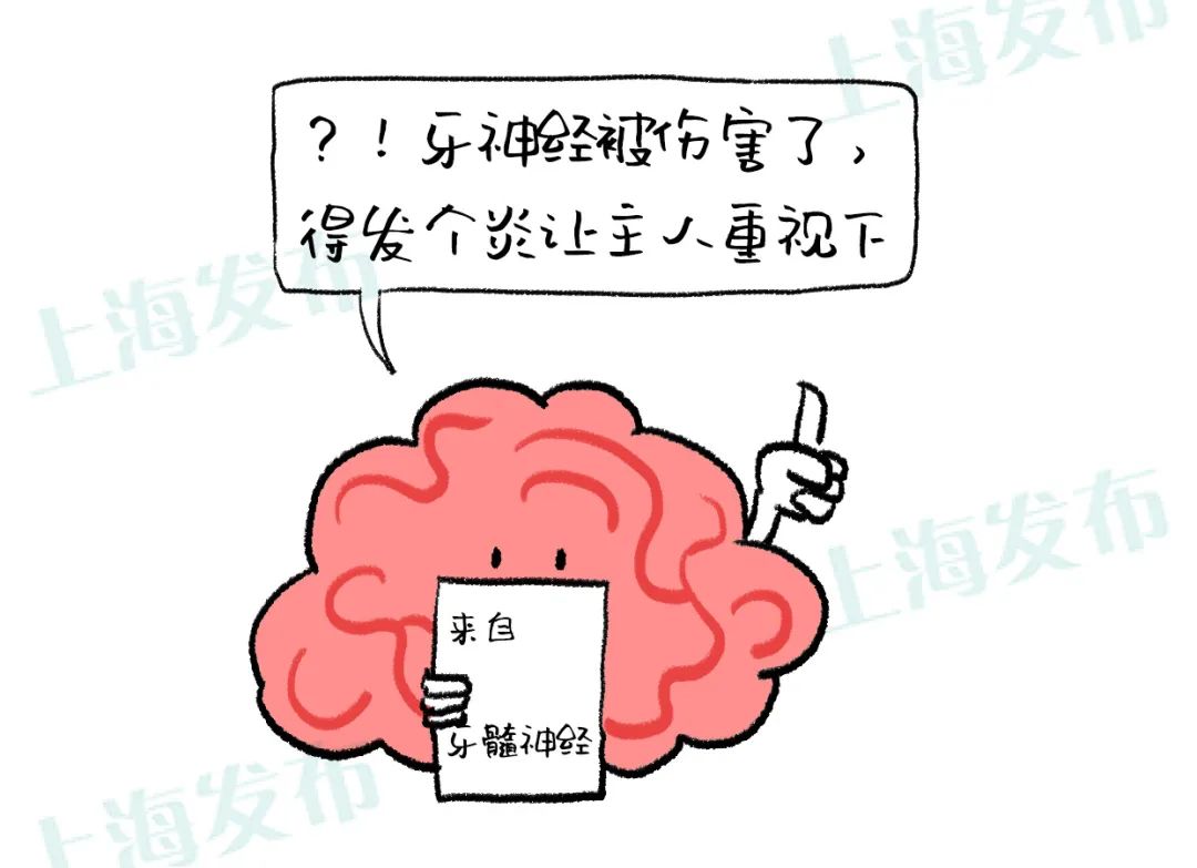 怎样缓解牙疼引起的牙神经疼痛,关于牙疼健康问题的对话简短