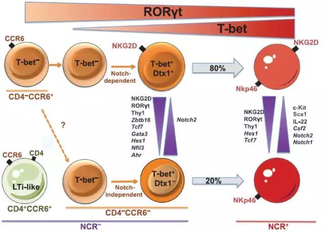 硬货的解析,硬货必买的10种