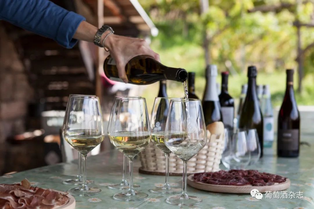 中国葡萄酒主产区之一,宁夏贺兰山东麓葡萄酒产区