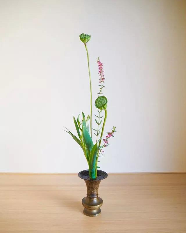 一花一世界一叶一菩提本来无一物,一花一世界一叶一菩提一场梦