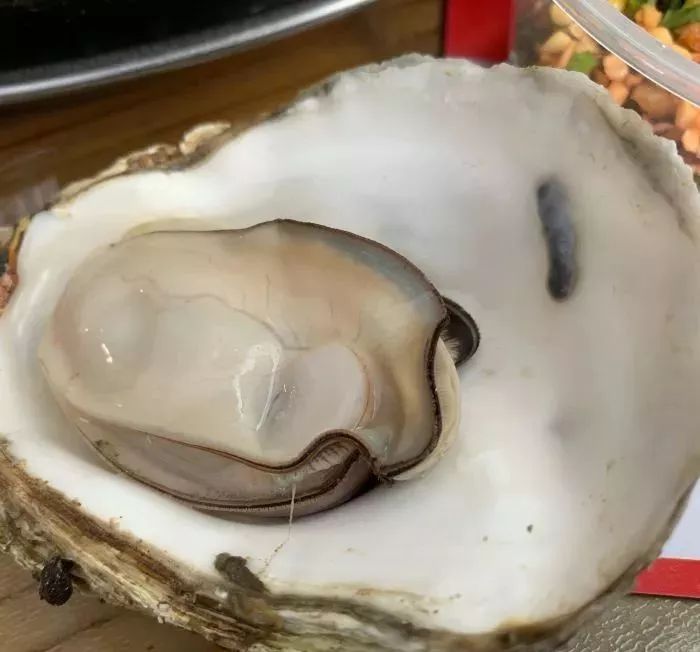 南宁最好吃的10家烧烤店,南宁生蚝哪最好吃