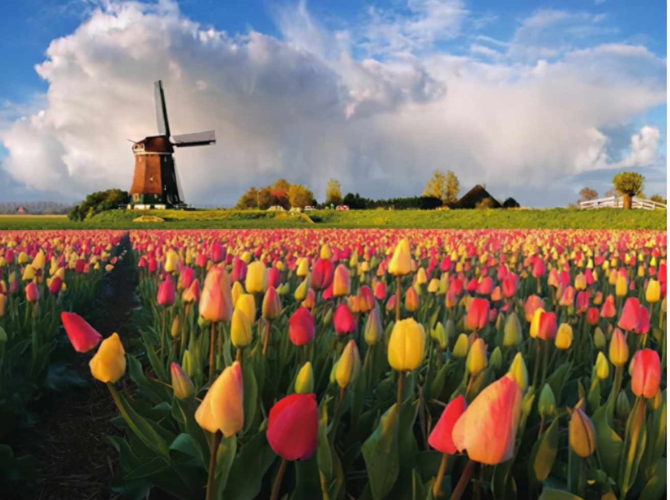 真正的荷兰是一个怎样的国家,荷兰这个国家真实的一面