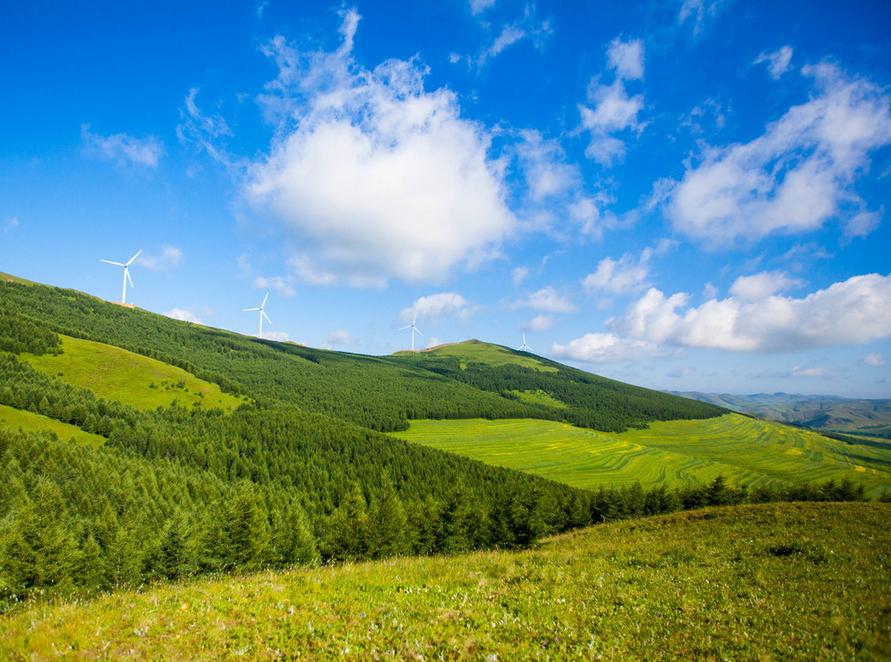 草原何须去内蒙，走进坝上草原，令我的心灵顿生幸福的震颤