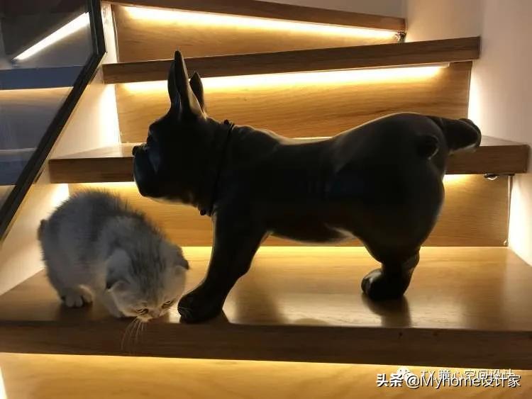 不敢相信房子还有人住,不敢相信的房子