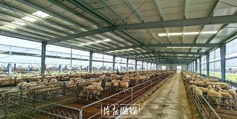 打工仔当上年薪百万公司老总,打工仔当上老板化身百万富翁