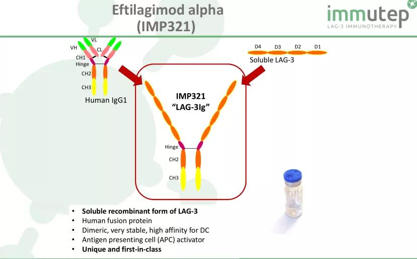 lag-3免疫治疗费用,lag-3单抗临床