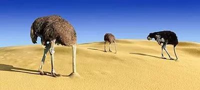 大雾给人一种朦胧美,大雾缓解干旱的作用