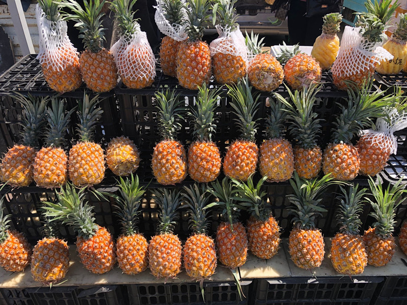 清明前后有啥好吃的水果,清明过后这四种水果建议大家少吃