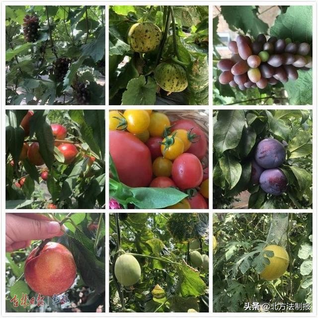 端午小长假去这四个地方玩,端午小长假适合去哪玩自驾游