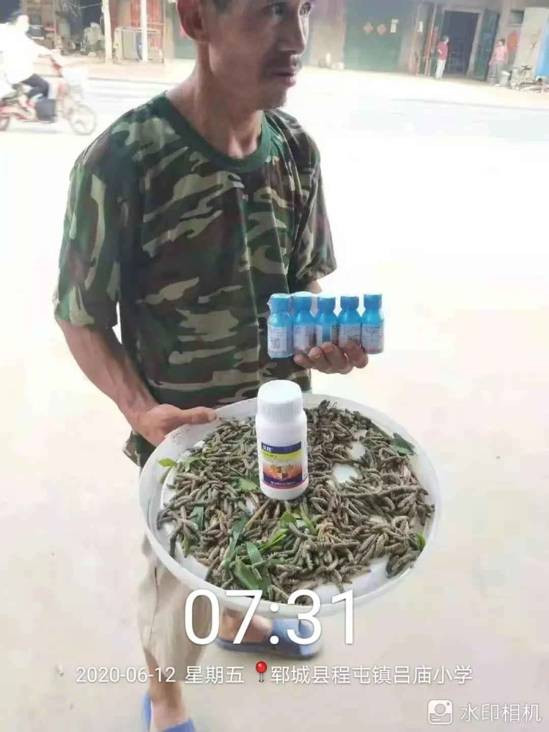 众胜杀虫剂,众胜杀虫剂伤不伤小龙虾