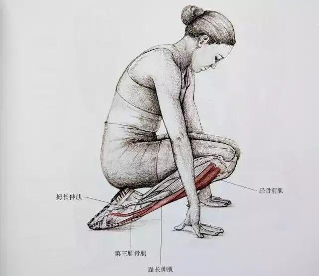 小腿拉伸图解告别疙瘩腿,大腿内侧有疙瘩怎么拉伸