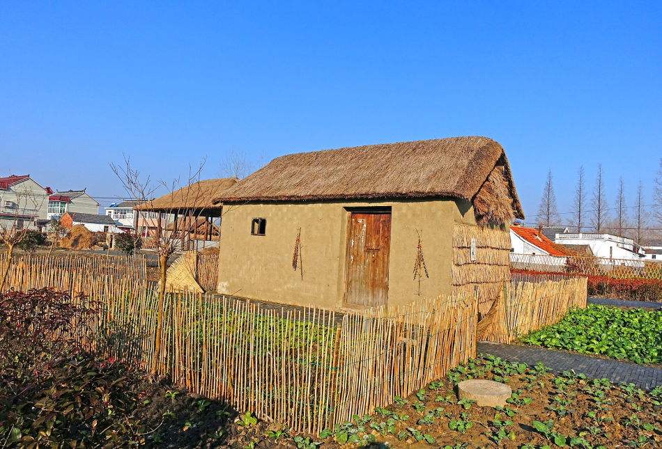 五年级八单元作文《推荐一本好书》，这样写同学赞赏，老师给满分