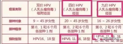 难缠的病——生殖器尖锐湿疣