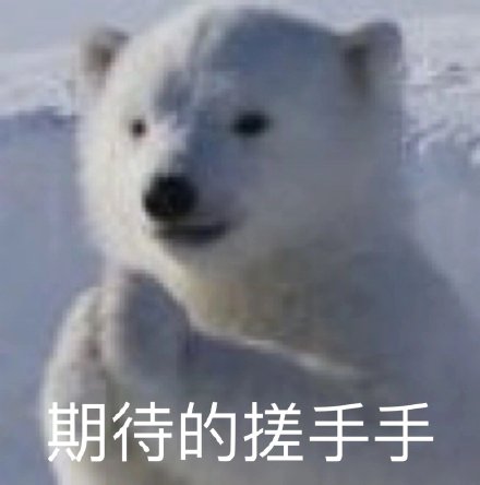 2023年百强会计师事务所排名,百强会计师事务所