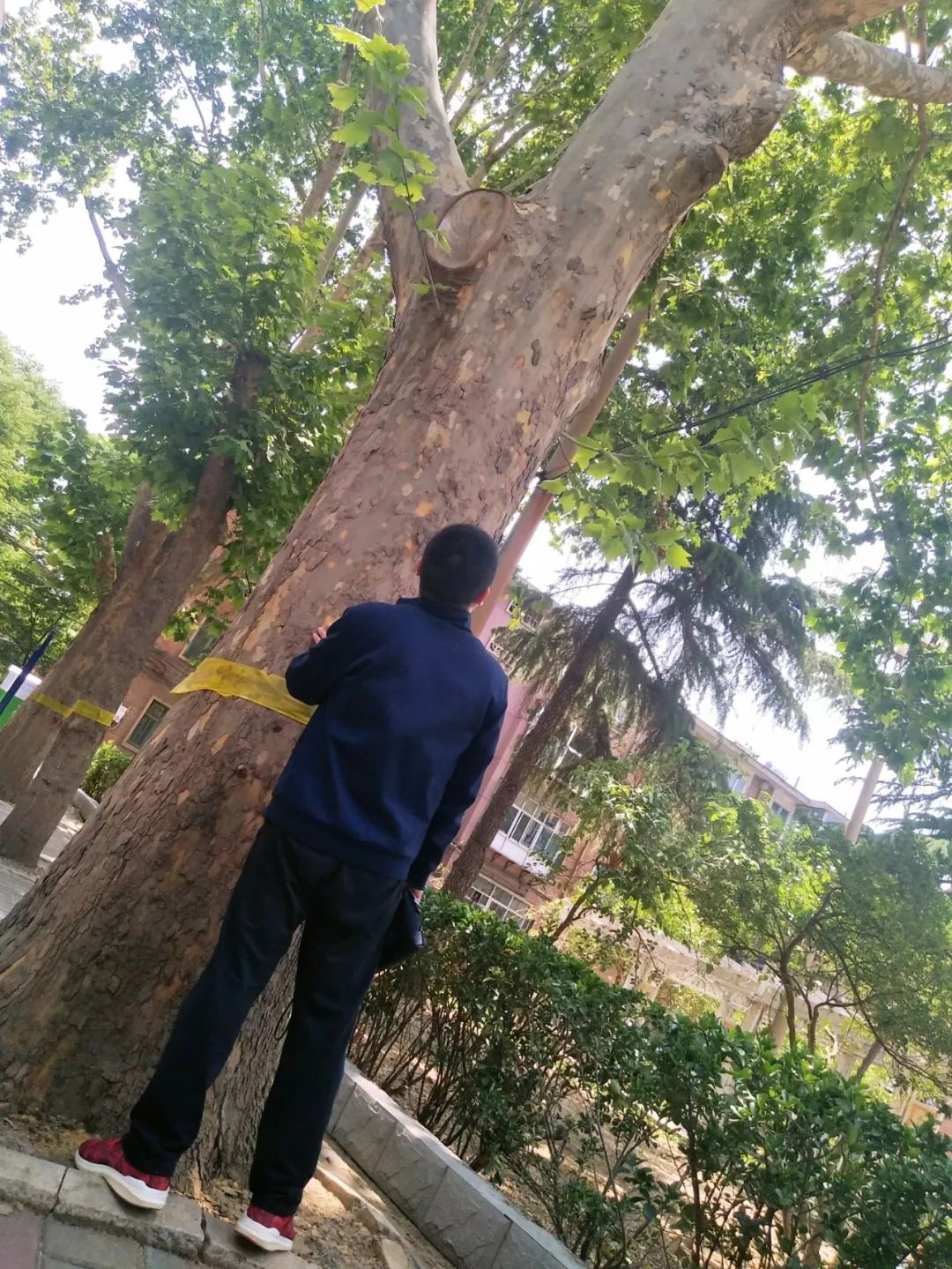 实探新中式楼盘,实探44中学区房