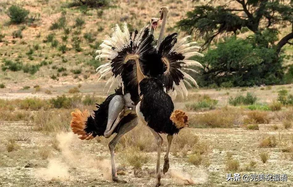 今天2.1，2月第1天，谁编的，太好笑了，给群里乐一乐~