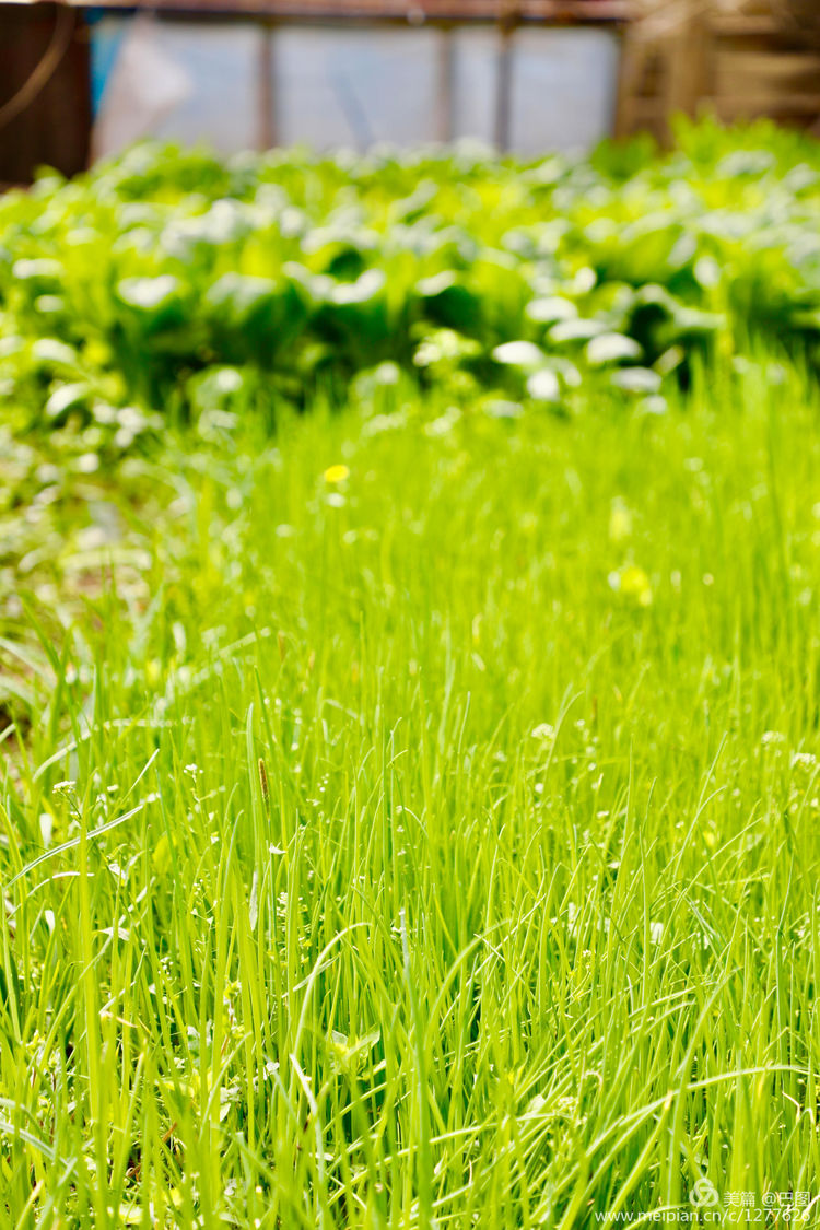 曾经的新安小香港,今日物是人非,探访洛阳水泥厂工人村