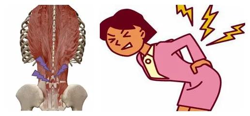 骨科医生久坐缓解方法,骨科大夫严玉贵说久坐危害大